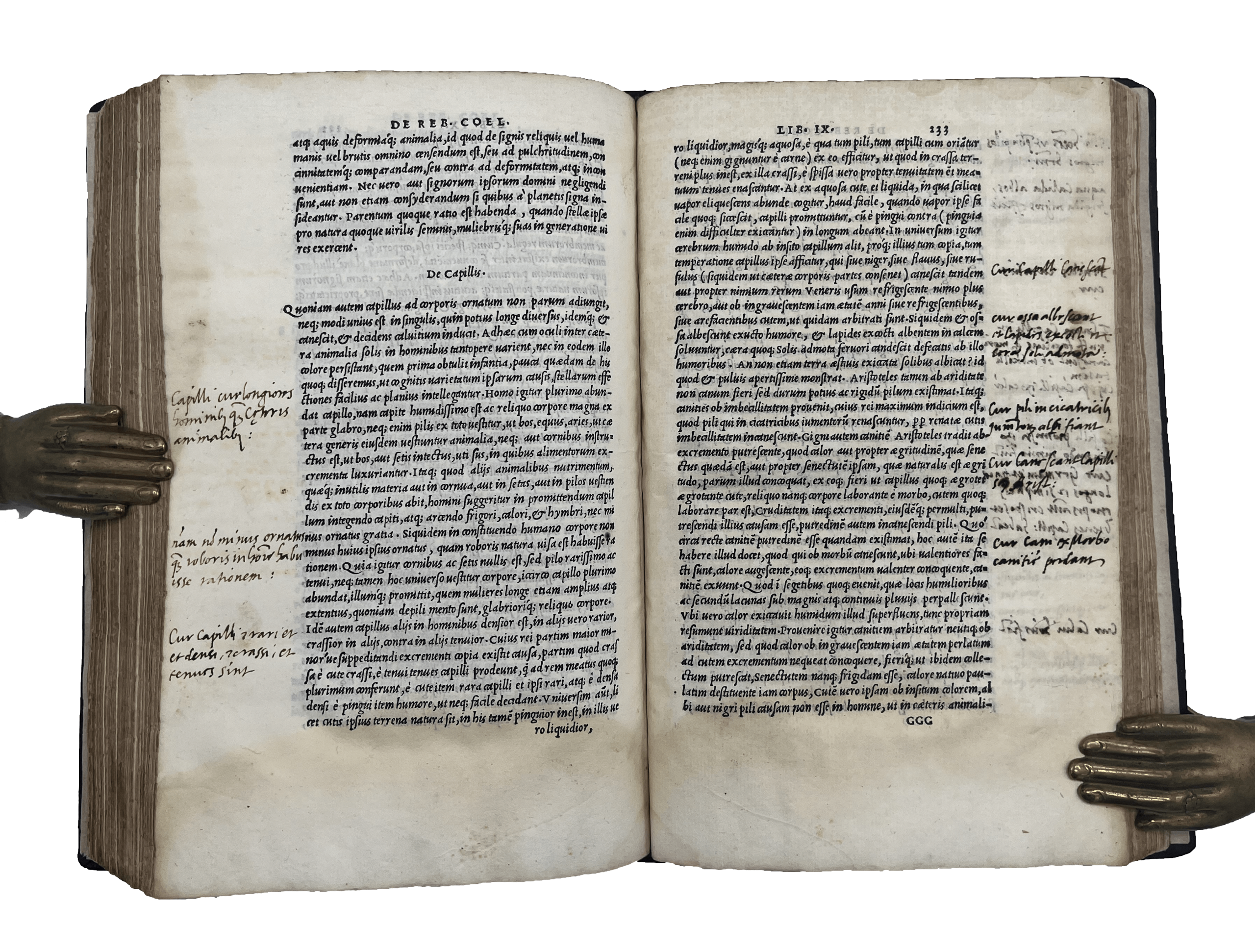 PONTANO, Giovanni Gioviano - Image 6