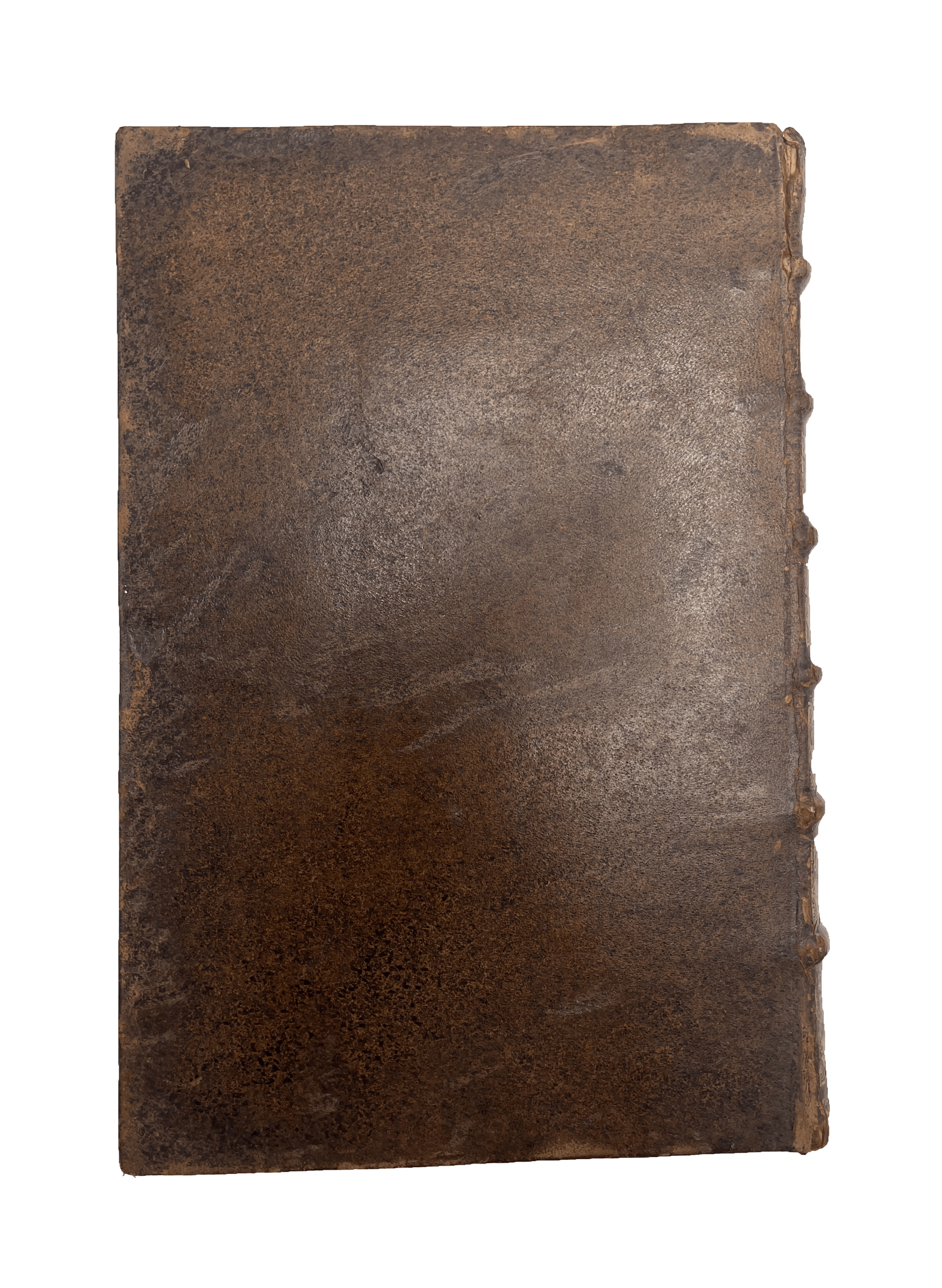 ATHENAEUS - Image 11