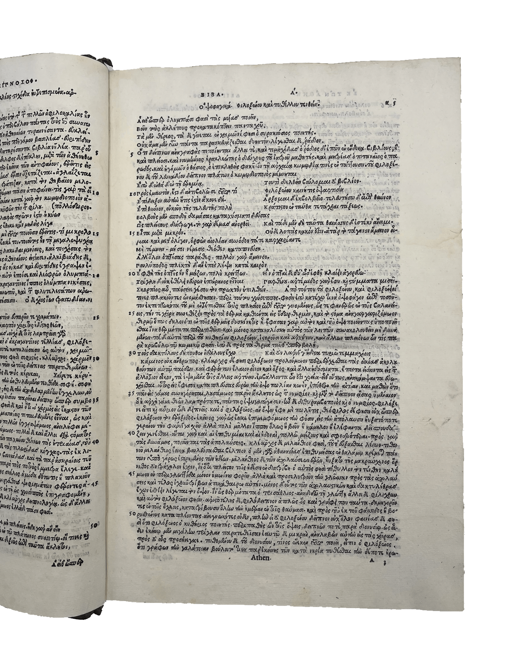 ATHENAEUS - Image 5
