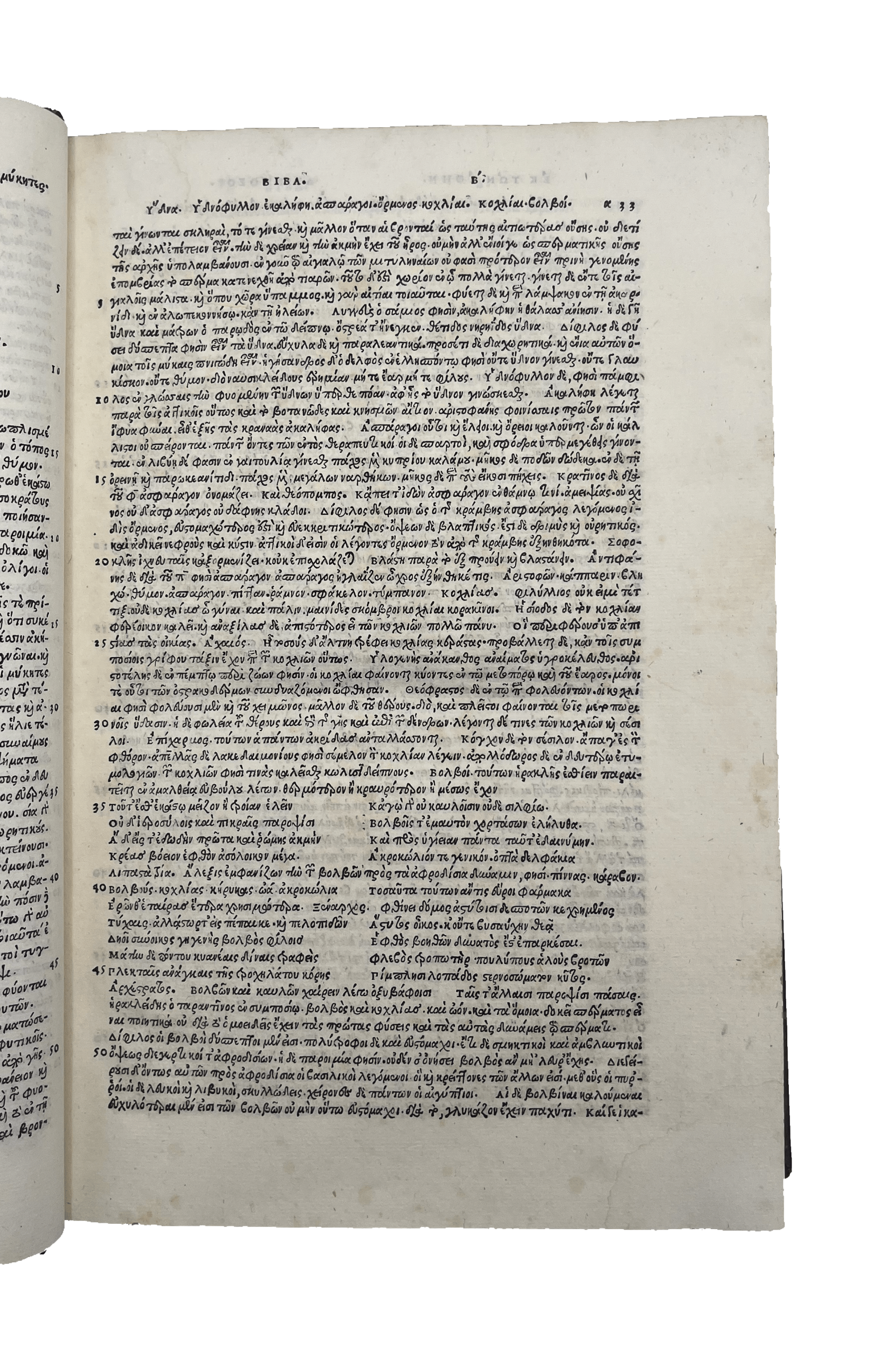 ATHENAEUS - Image 6