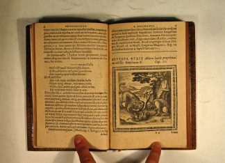 EPIPHANIUS of Constantia, SAINT