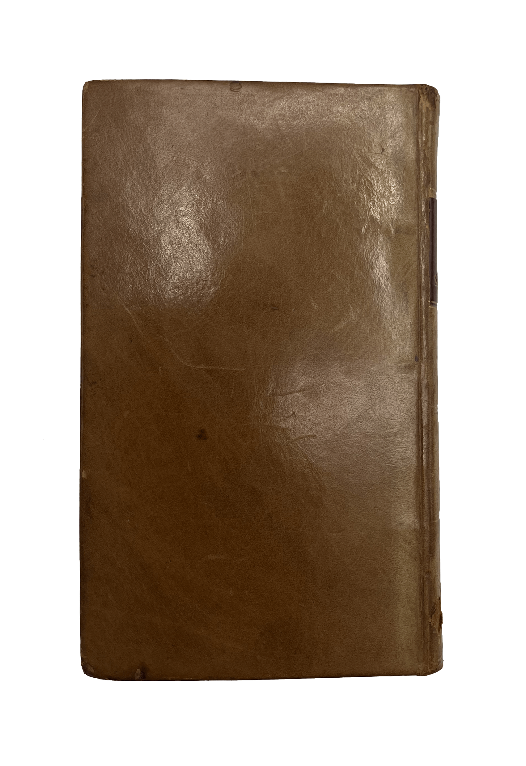 BACON, Francis - Image 10