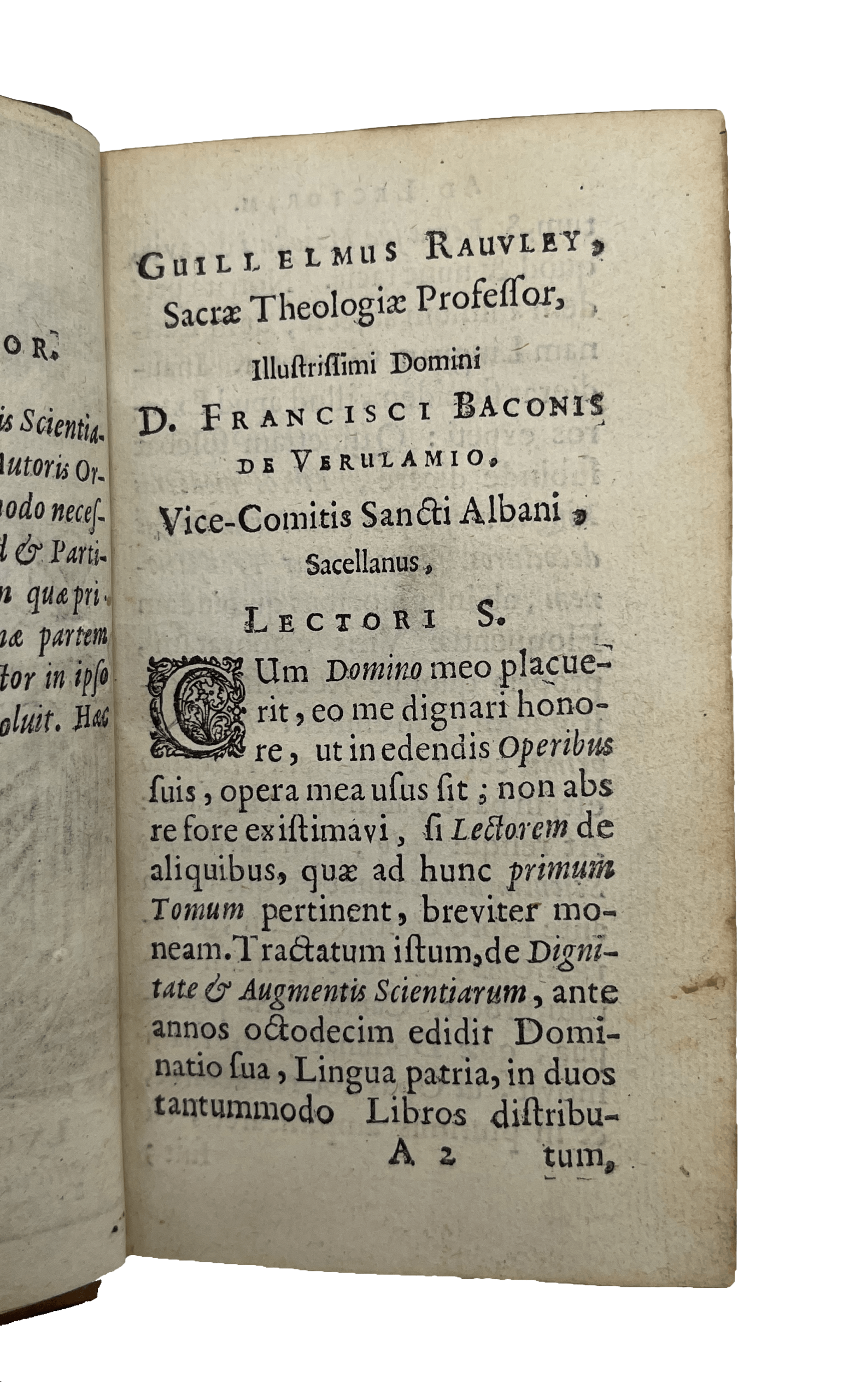 BACON, Francis - Image 6