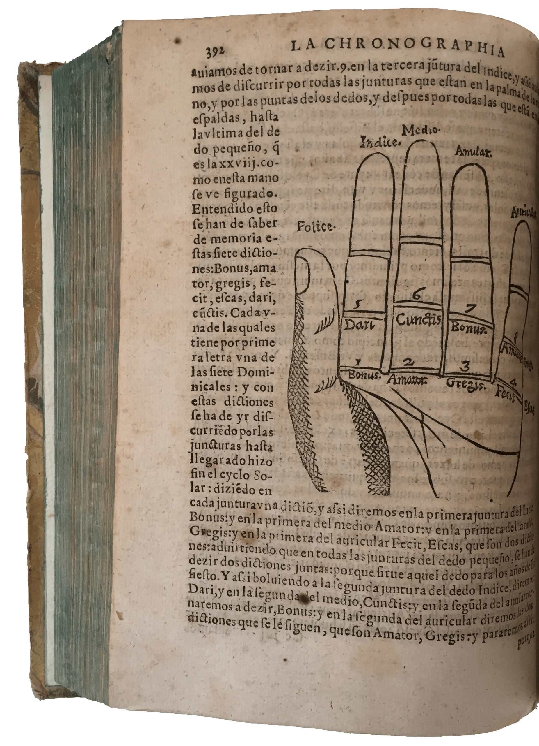 TORNAMIRA, Francisco Vicente de - Image 7