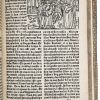 WARWICK, Guy de - Image 3