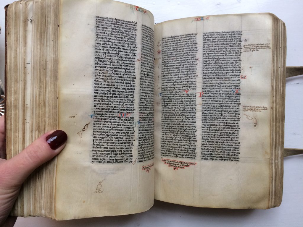 BIBLE, decorated manuscript – Sokol Books