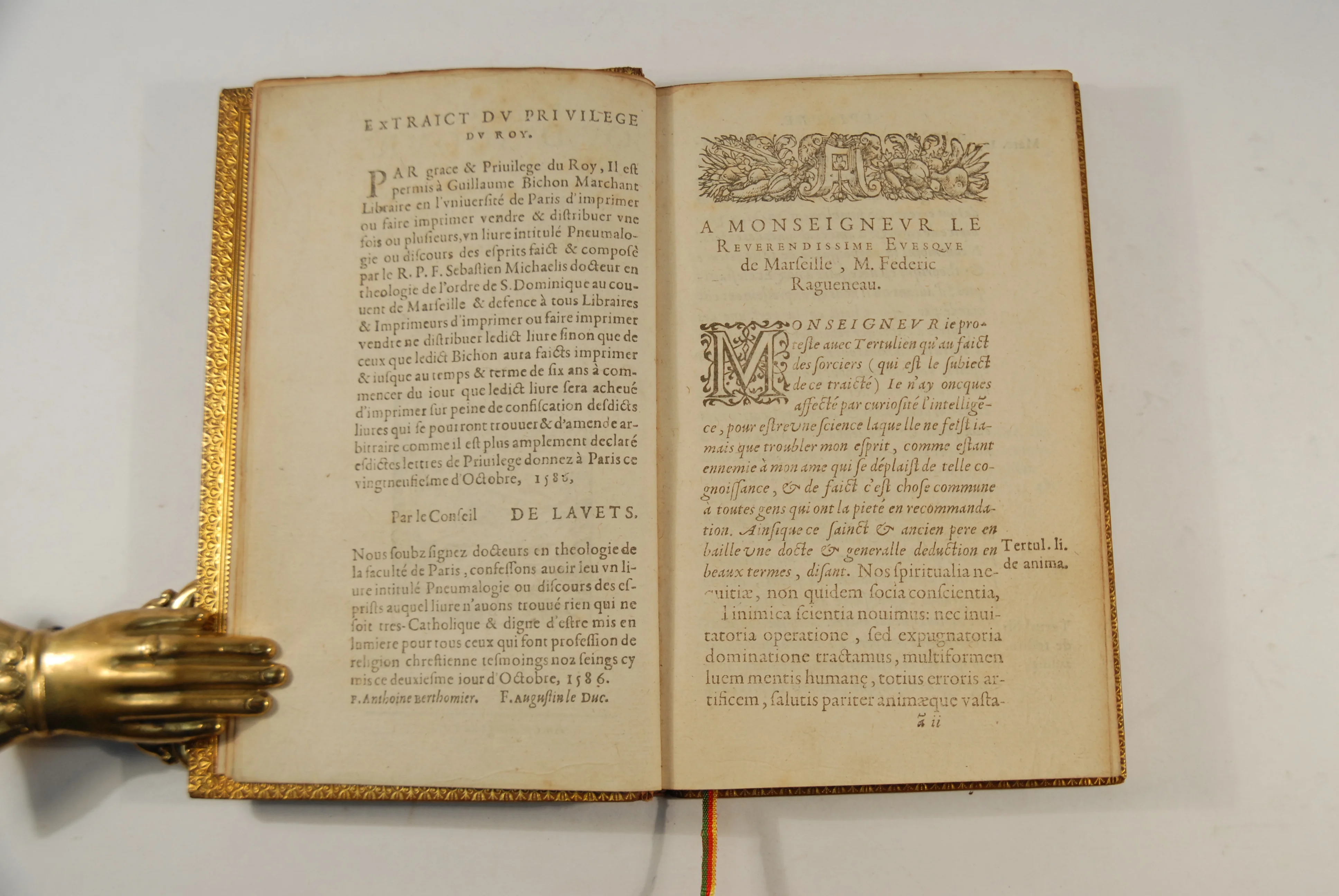 MICHAËLIS, Sébastien - Image 3