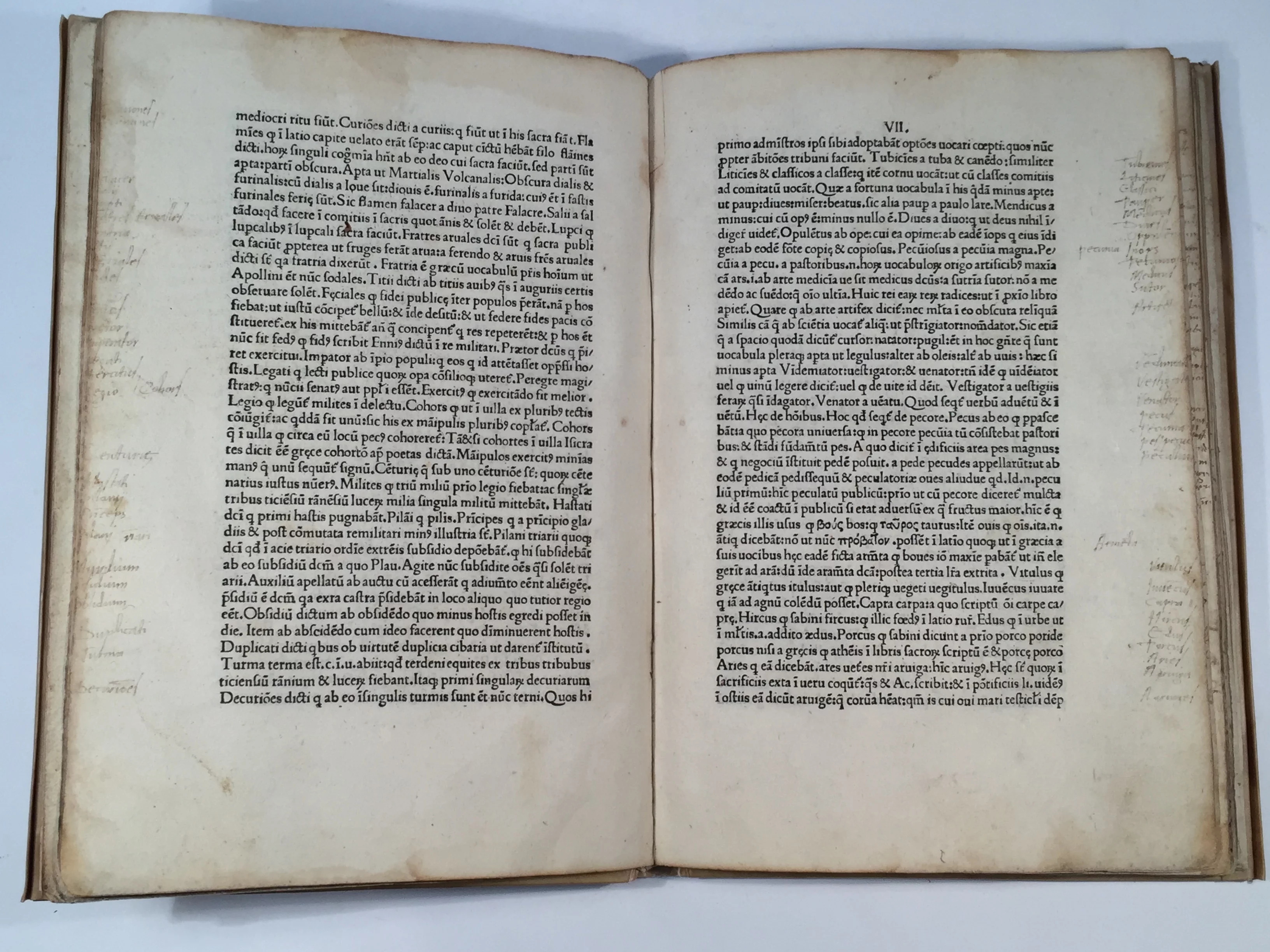 VARRO, M Terentius - Image 4