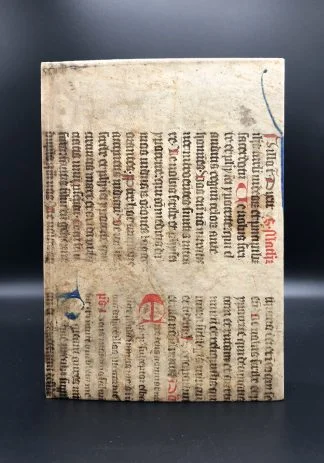 ALBERTUS MAGNUS