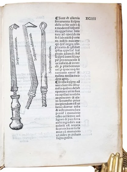 BERENGARIO, Jacopo. - Image 5