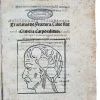 BERENGARIO, Jacopo. - Image 3