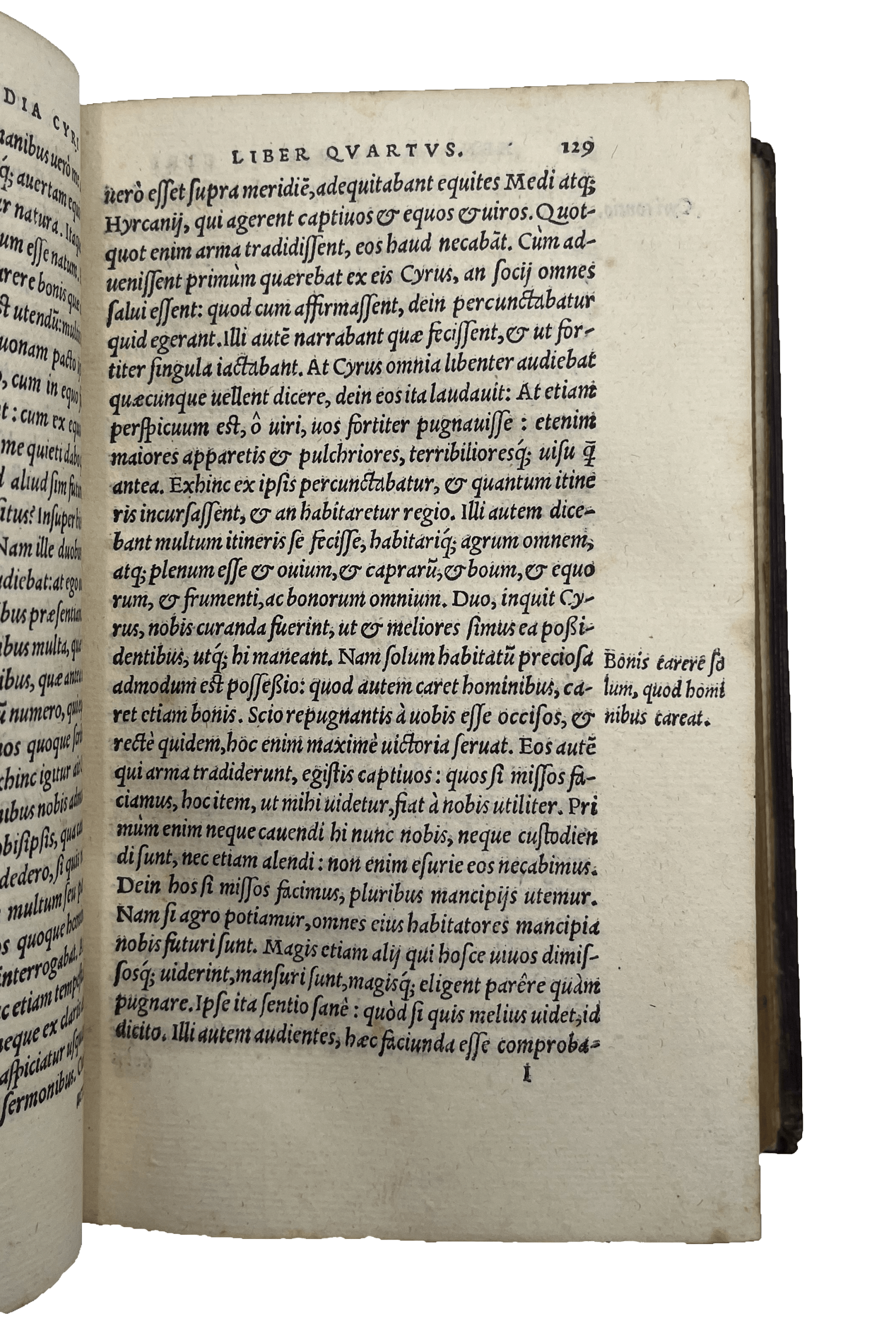 XENOPHON - Image 8