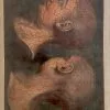 GAUTIER D'AGOTY, Jacques Fabien. - Image 4