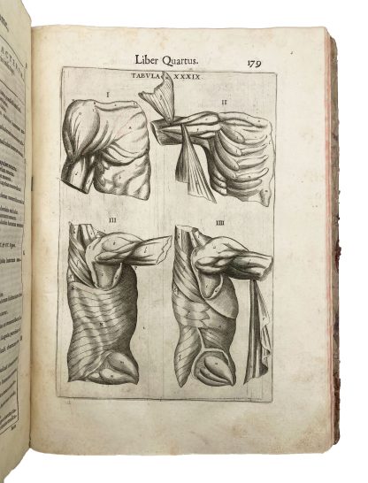 GUIDI, Guido. - Image 5