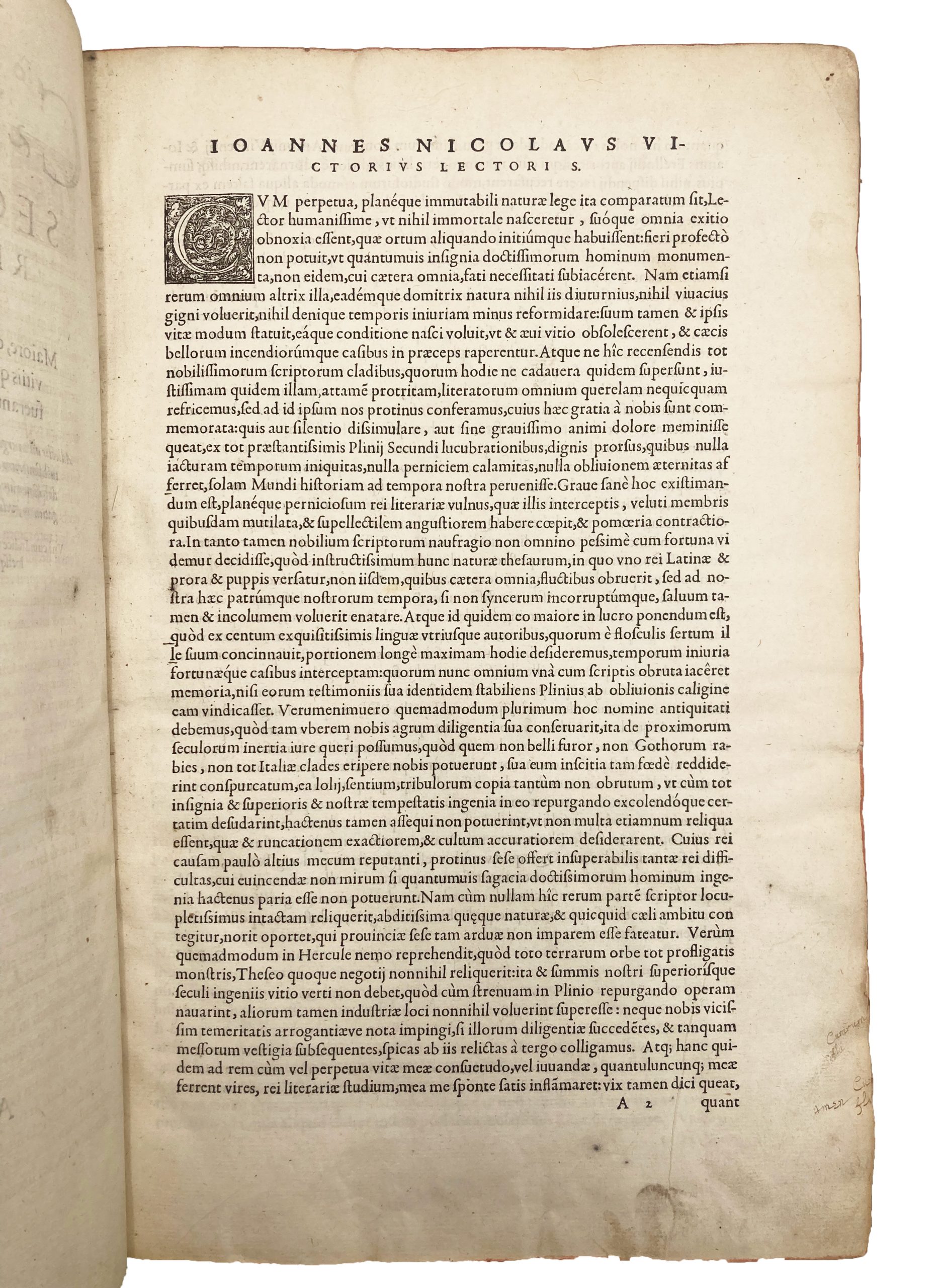 PLINY. - Image 5