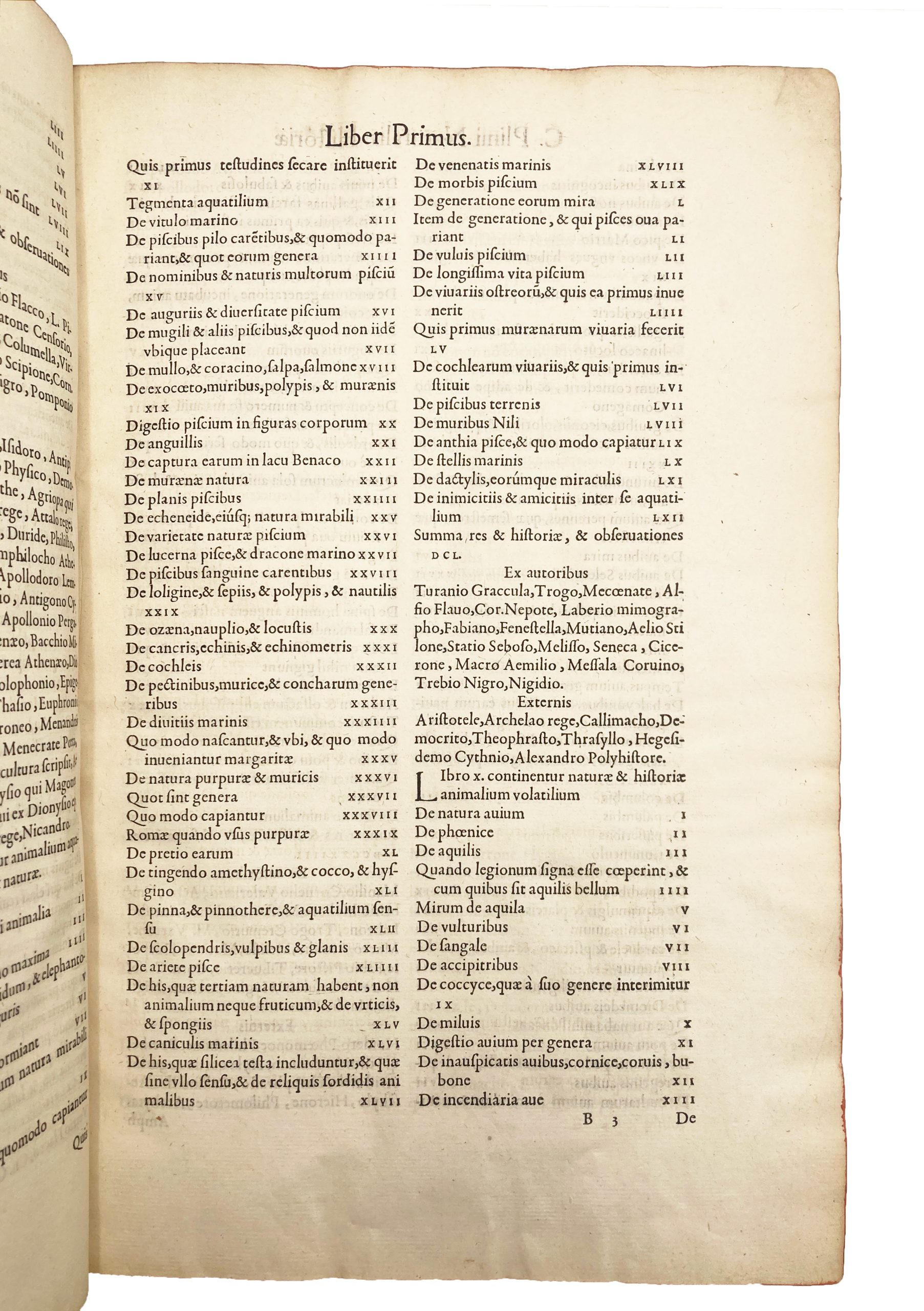 PLINY. - Image 6