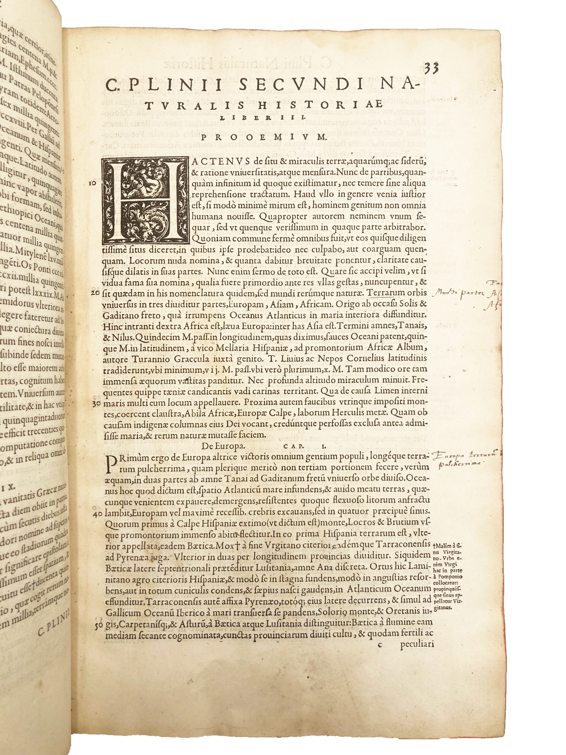 PLINY. - Image 7