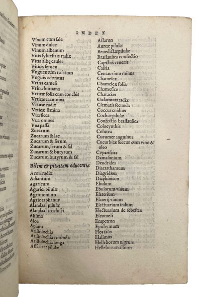 BRASAVOLA, Antonio Musa. - Image 3