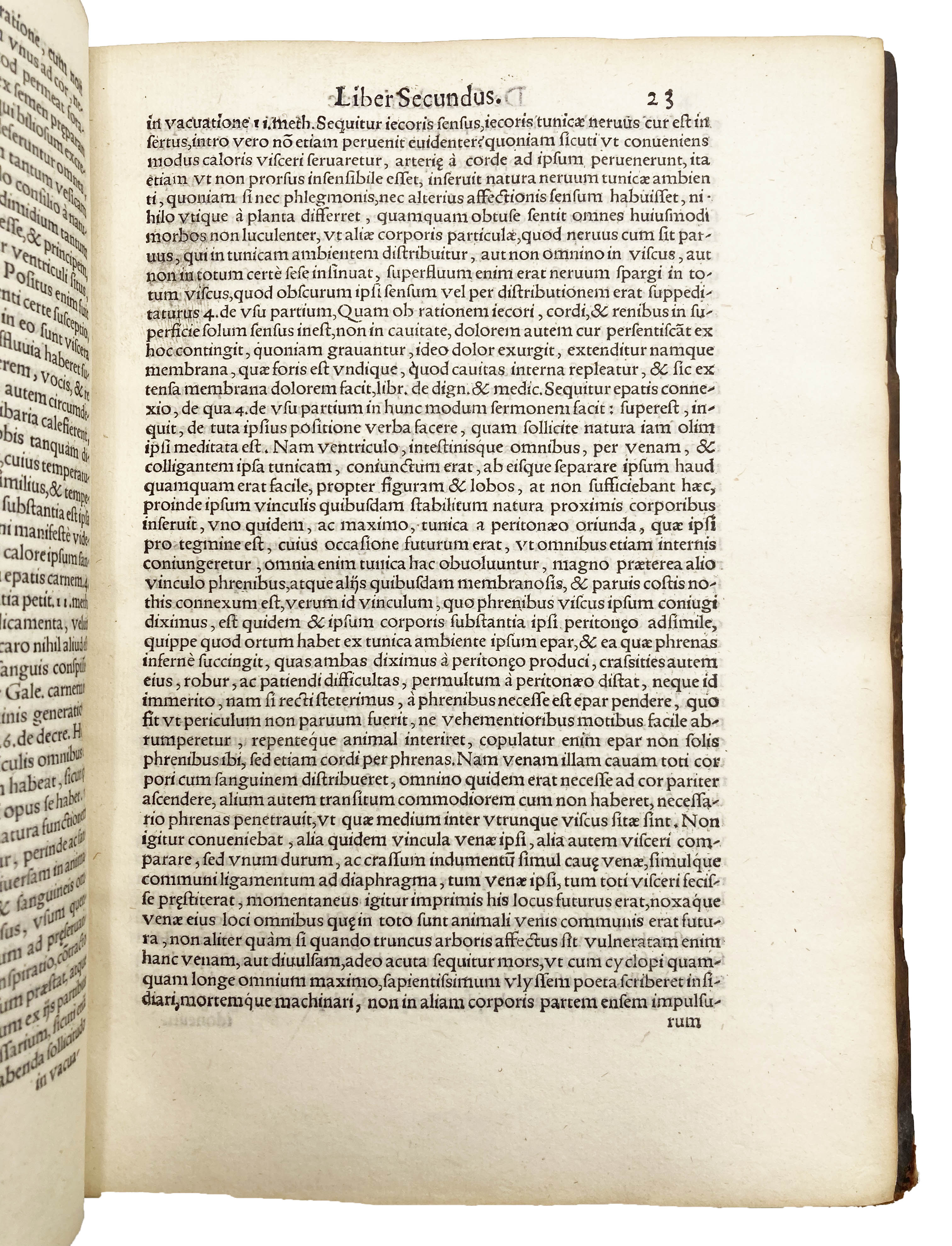 PERNUMIA, Giovann Paolo - Image 5