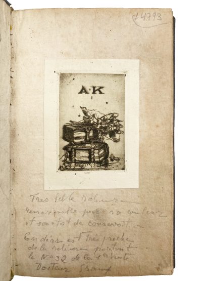SANNAZZARO, Jacopo. - Image 3