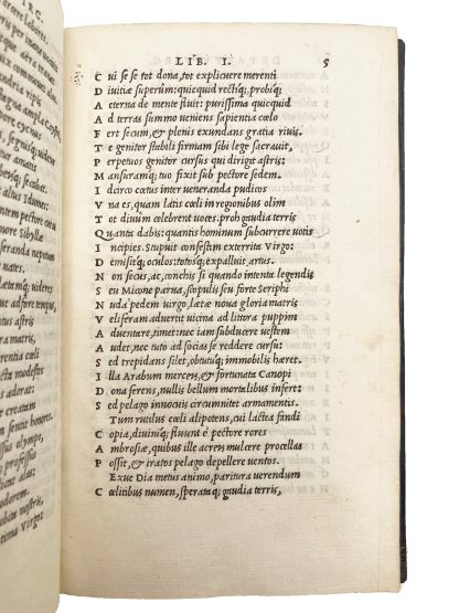 SANNAZZARO, Jacopo. - Image 5