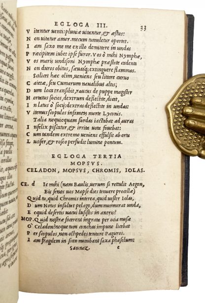 SANNAZZARO, Jacopo. - Image 6