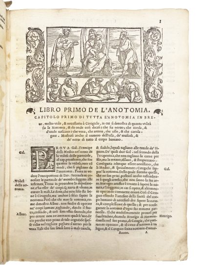 VIGO, Giovanni da. - Image 2