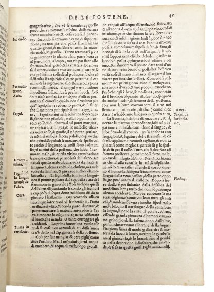 VIGO, Giovanni da. - Image 3