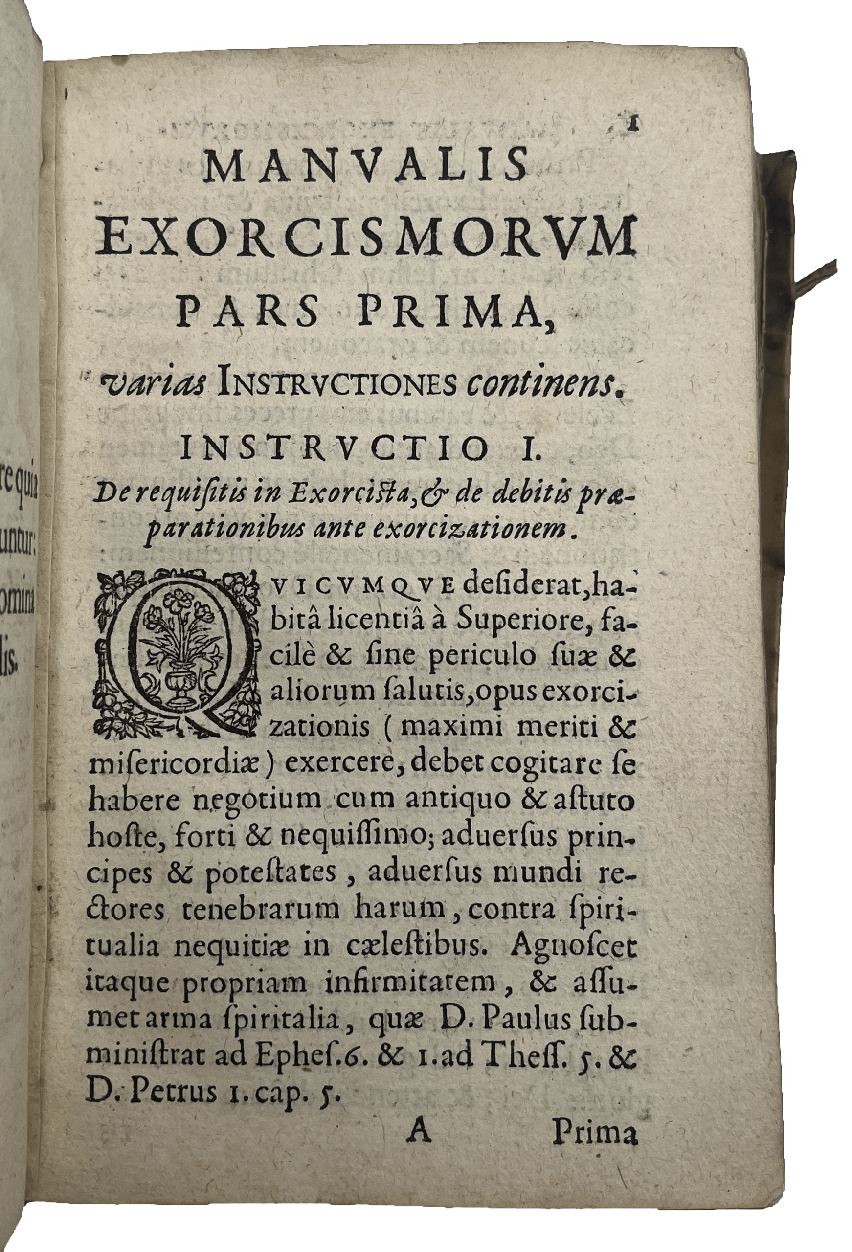 EYNATTEN, Maximilian - Image 7