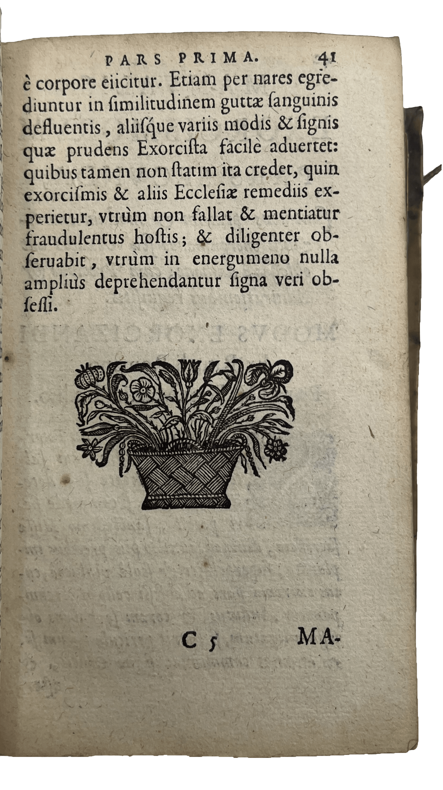 EYNATTEN, Maximilian - Image 8