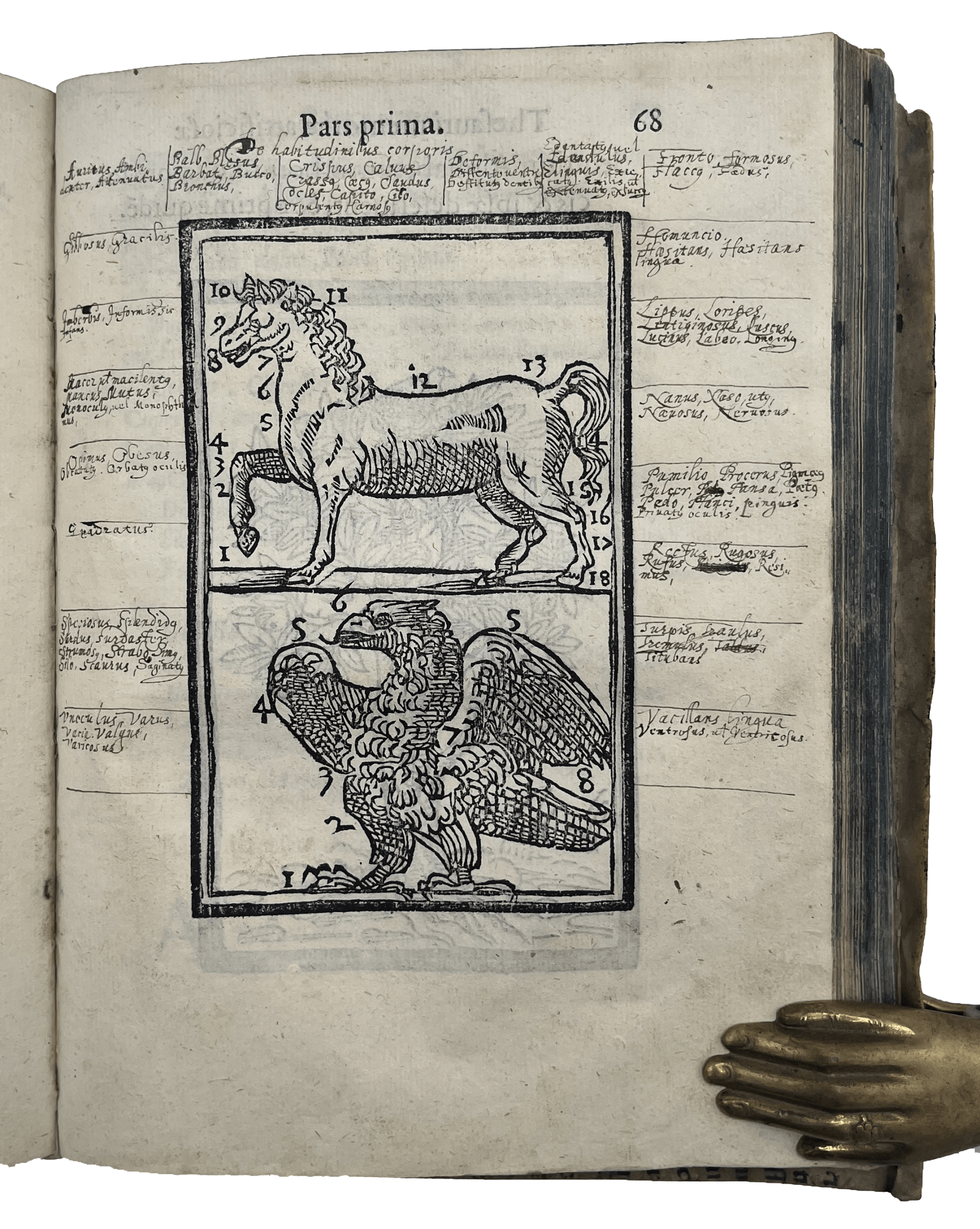 ROSSELLI, Cosimo. - Image 15