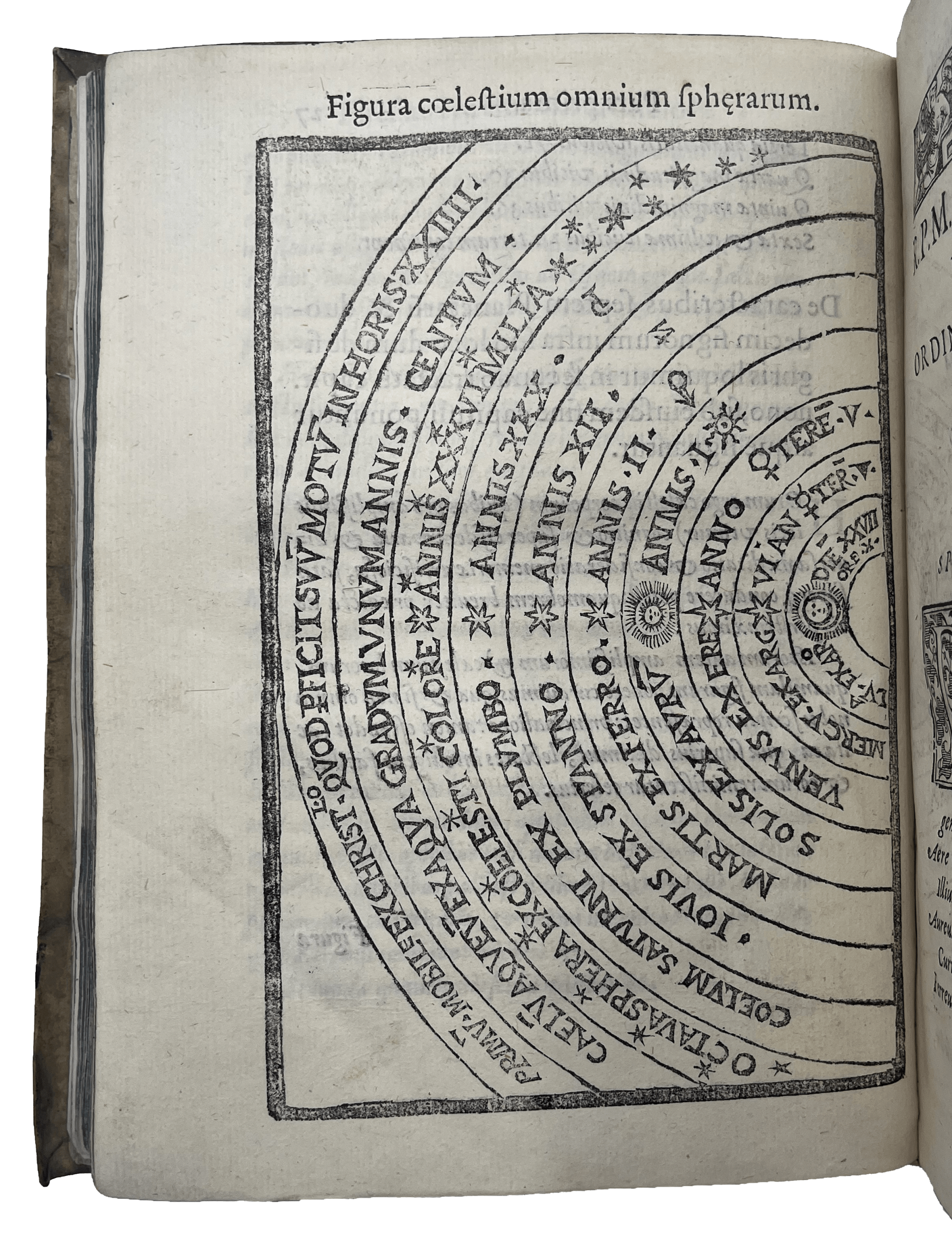 ROSSELLI, Cosimo. - Image 11