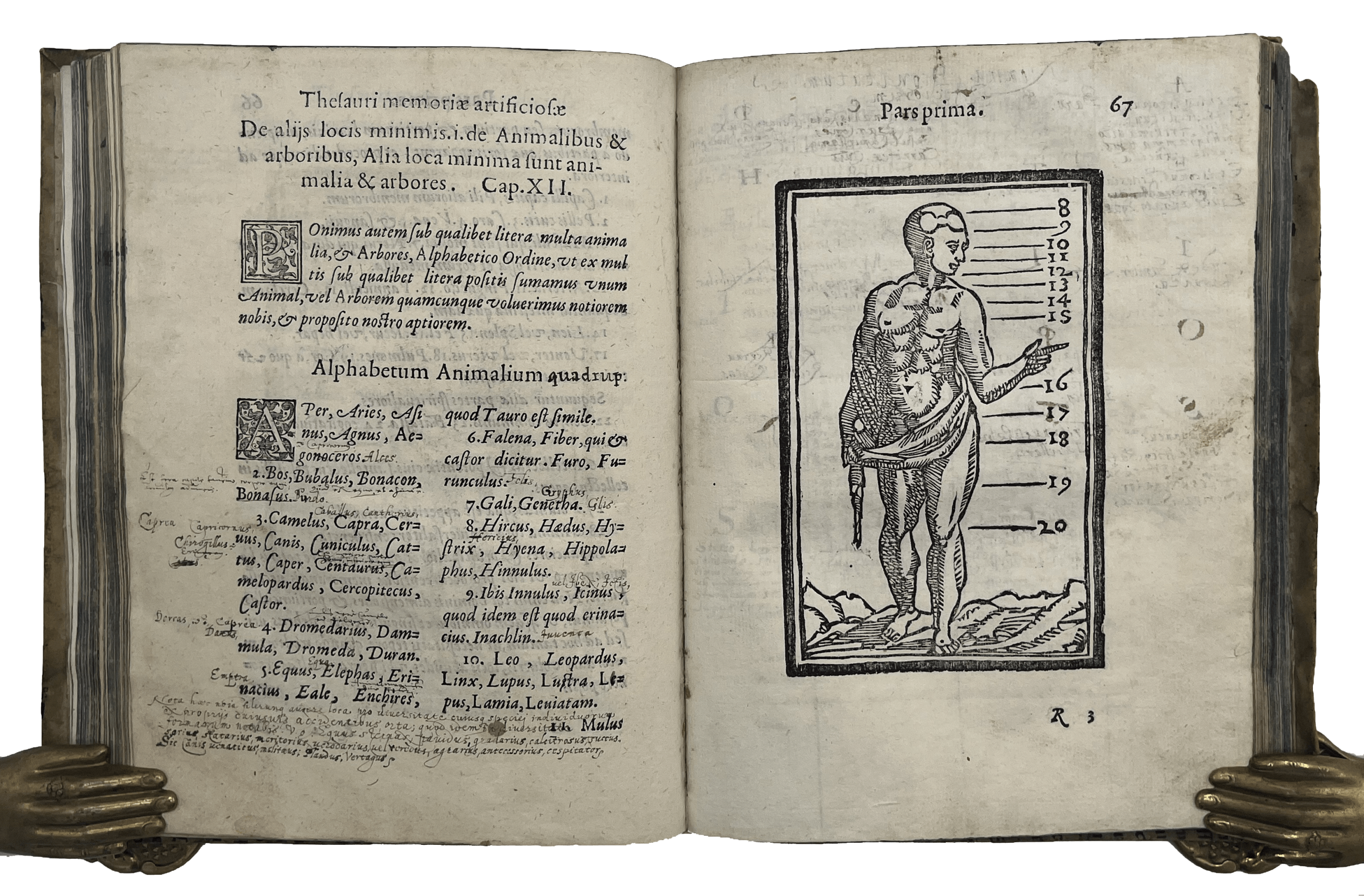 ROSSELLI, Cosimo. - Image 13