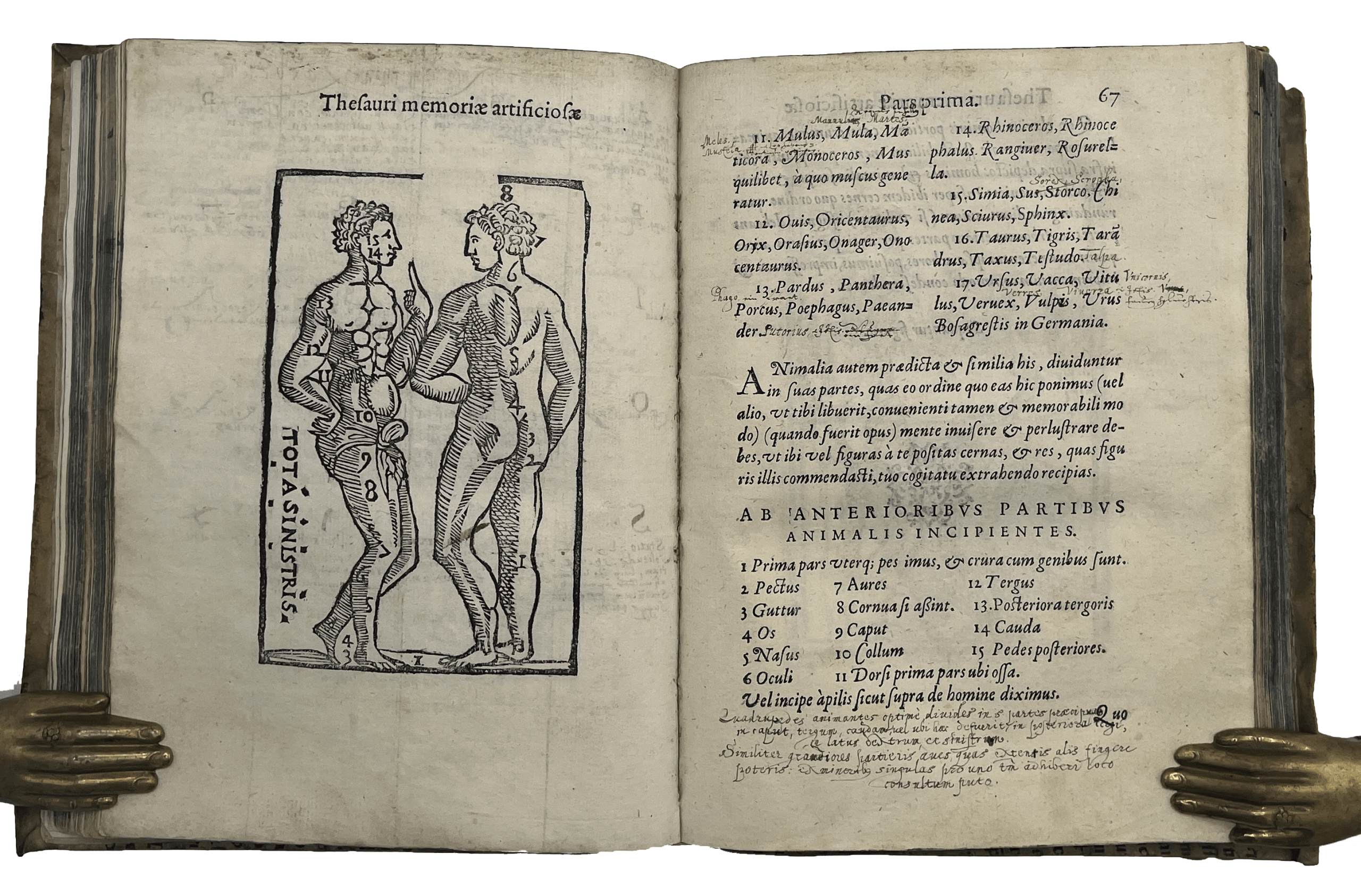 ROSSELLI, Cosimo. - Image 14