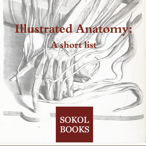 Illustrated Anatomy